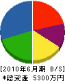 松本設備 貸借対照表 2010年6月期