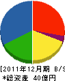 大橋エアシステム 貸借対照表 2011年12月期