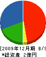 中新田建設 貸借対照表 2009年12月期