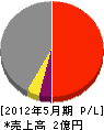 篠田工業 損益計算書 2012年5月期