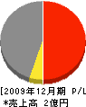 渡辺建設興業 損益計算書 2009年12月期