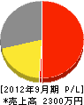 富田電気商会 損益計算書 2012年9月期