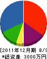 坂田建設工業 貸借対照表 2011年12月期
