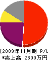 十和田電気通信工業 損益計算書 2009年11月期