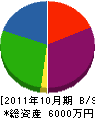 心明土木 貸借対照表 2011年10月期
