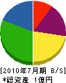 塚田設備 貸借対照表 2010年7月期