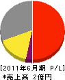 黒須産業 損益計算書 2011年6月期