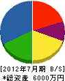 伊藤商事 貸借対照表 2012年7月期