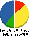 塚田設備工業 貸借対照表 2012年10月期