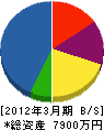 平尾電機工業所 貸借対照表 2012年3月期