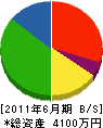 片山 貸借対照表 2011年6月期