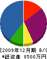 掛川土建 貸借対照表 2009年12月期