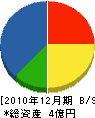 小川工業 貸借対照表 2010年12月期