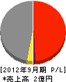 三洋興産 損益計算書 2012年9月期