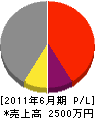 藤田工業 損益計算書 2011年6月期