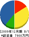 宮崎ライン工業 貸借対照表 2009年12月期