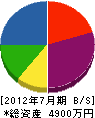 中島建設 貸借対照表 2012年7月期