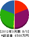 山川 貸借対照表 2012年3月期