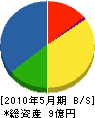 野澤實業 貸借対照表 2010年5月期