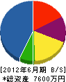 岡田商会 貸借対照表 2012年6月期