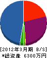 藤篠 貸借対照表 2012年3月期