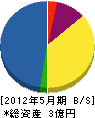 木元電設 貸借対照表 2012年5月期