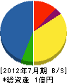 碇谷建築 貸借対照表 2012年7月期