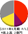 横浜システック 損益計算書 2011年6月期