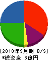 タケザワ 貸借対照表 2010年9月期