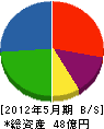 中川企画建設 貸借対照表 2012年5月期
