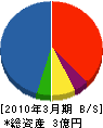 沖縄神洋ペイント 貸借対照表 2010年3月期