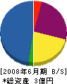 菅野組 貸借対照表 2008年6月期