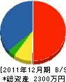 嶋内工務店 貸借対照表 2011年12月期
