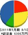 片家土木 貸借対照表 2011年5月期