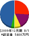 竹内塗装 貸借対照表 2009年12月期