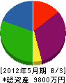 坪田工業 貸借対照表 2012年5月期
