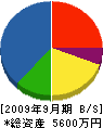 大川電機水道 貸借対照表 2009年9月期