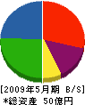 中川企画建設 貸借対照表 2009年5月期