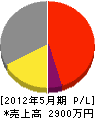 長谷川工業 損益計算書 2012年5月期