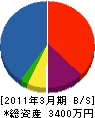 公園沖縄 貸借対照表 2011年3月期