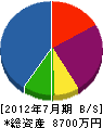 茂川建設 貸借対照表 2012年7月期