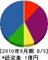 沢井建設 貸借対照表 2010年9月期
