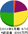 成田防災設備 貸借対照表 2012年6月期