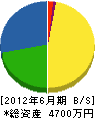 湯浅建設 貸借対照表 2012年6月期