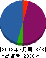 藤吉造園 貸借対照表 2012年7月期