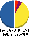 横山組 貸借対照表 2010年6月期