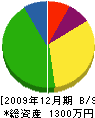 ミチシタ建設 貸借対照表 2009年12月期