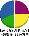 小島塗装工業所 貸借対照表 2010年6月期