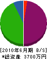 澤田防災工業 貸借対照表 2010年6月期