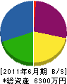 小島塗装工業所 貸借対照表 2011年6月期